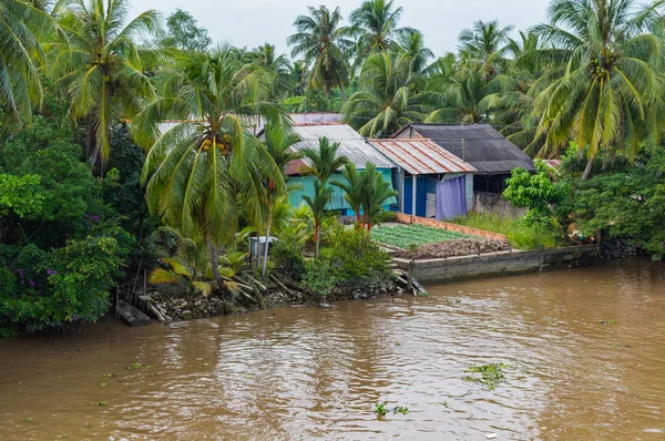 Casas de zancos junto al río en el delta del Mekong — Foto de Stock