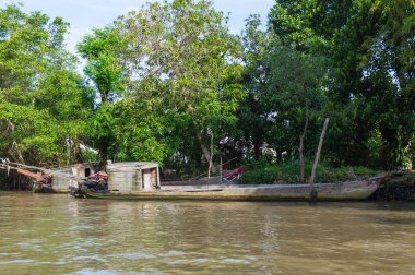 Vietnam'daki Mekong Deltası
