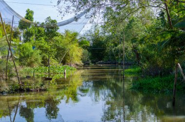 Mekong Deltası'nda küçük kanal.