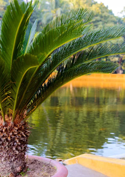 Ho Chi Minhs bostad nära dammen med fontän i Hanoi, Vietnam — Stockfoto