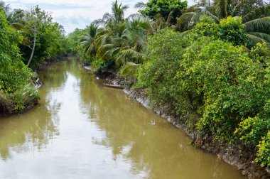 Mekong Deltası'nda küçük kanal.