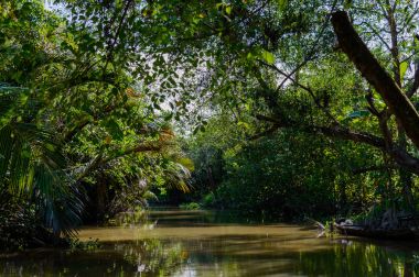 Mekong Deltası'nda küçük kanal.