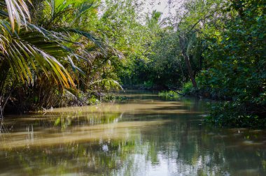 Mekong Deltası'nda küçük kanal.