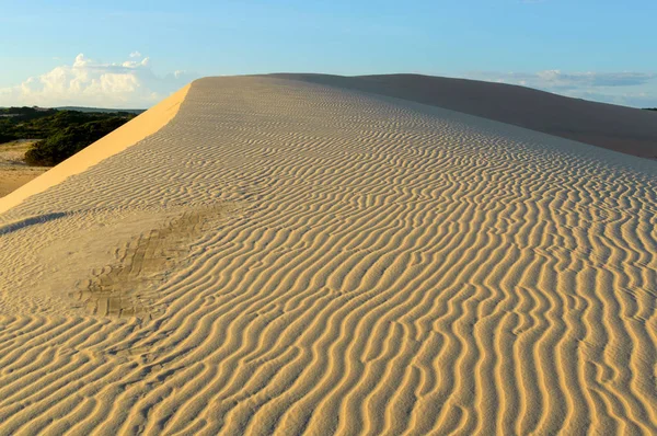 Woestijn zandduinen weg bij zonsondergang — Stockfoto