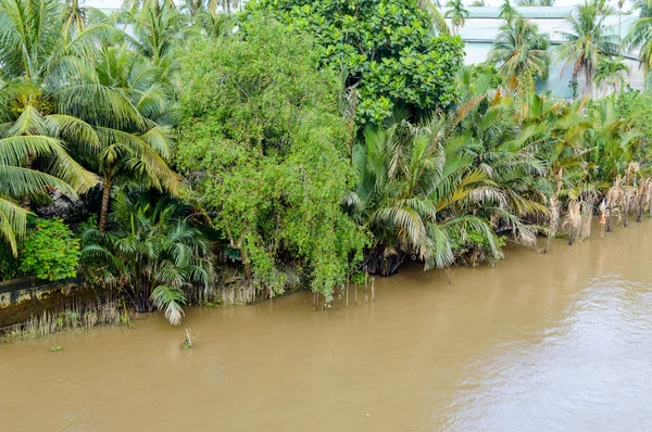 Delta del Mekong, Can Tho, Vietnam — Foto de Stock