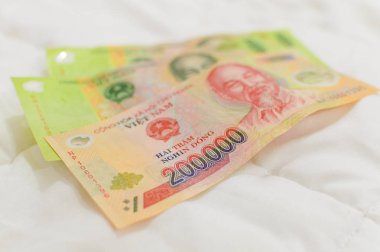 Vietnamca Döviz dong banknotlar