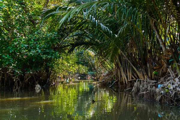 在湄公河三角洲的小运河. — 图库照片