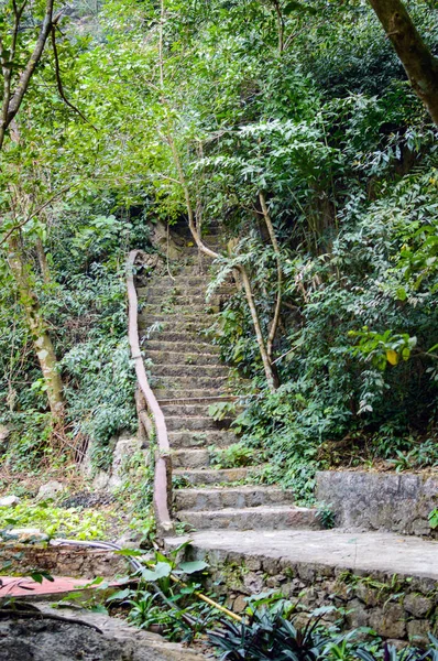 Πέτρινα σκαλοπάτια στη ζούγκλα — Φωτογραφία Αρχείου
