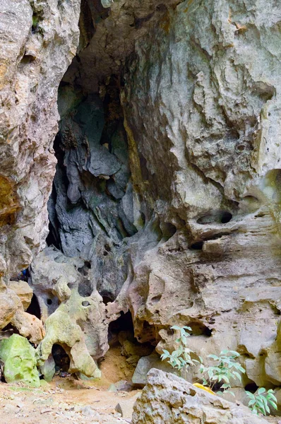 Escalones de piedra en la selva — Foto de Stock