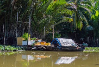 Vietnam'daki Mekong Deltası
