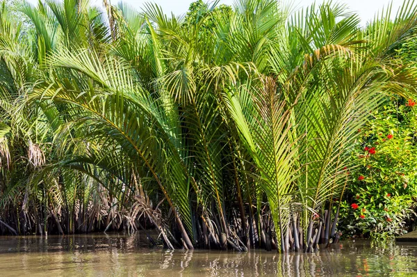 Canal pequeño en el delta del Mekong . — Foto de Stock