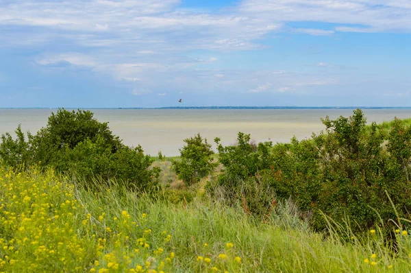 Meereslandschaft. Gelände an der Küste des Azov-Meeres im Gebiet Rostow — Stockfoto