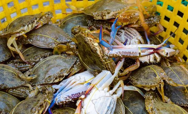 Blue Crabs in Kep