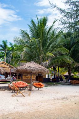 Güzel tropikal plaj