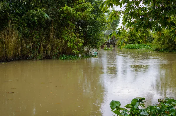 Mekong delta Vietnam — Stock Photo, Image