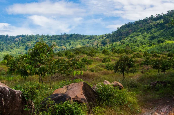 Hermosa vista natural en Khlong Yai, Tailandia . —  Fotos de Stock