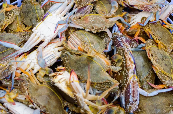 Caranguejos azuis em Kep — Fotografia de Stock