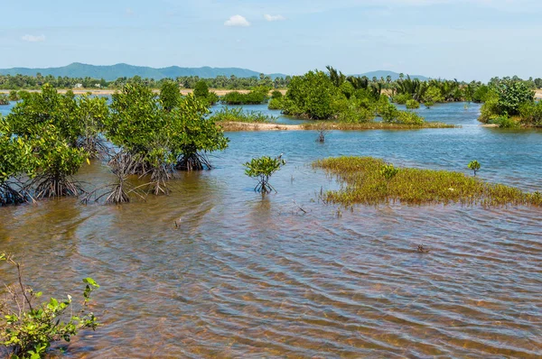 Routes rurales après la saison des pluies — Photo