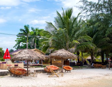 Güzel tropikal plaj