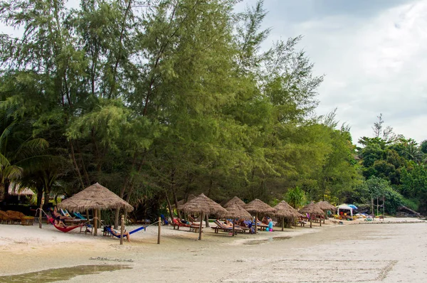 Güzel tropikal plaj