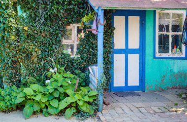 Ön kapı, pencere ve bir geleneksel köy evinin duvarına Ivy
