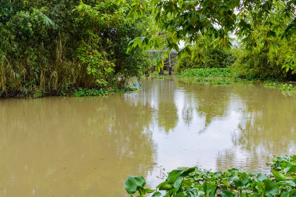 Mekong Delta Vietnam