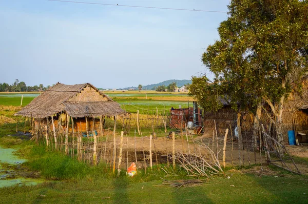 Çiftçi kulübe sahada