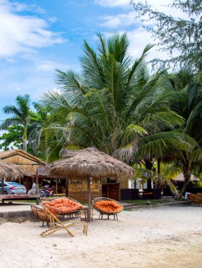 Güzel tropikal plaj