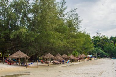 Güzel tropikal plaj