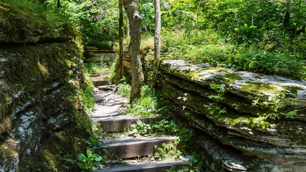 Viejas escaleras de piedra que conducen a la selva — Foto de Stock