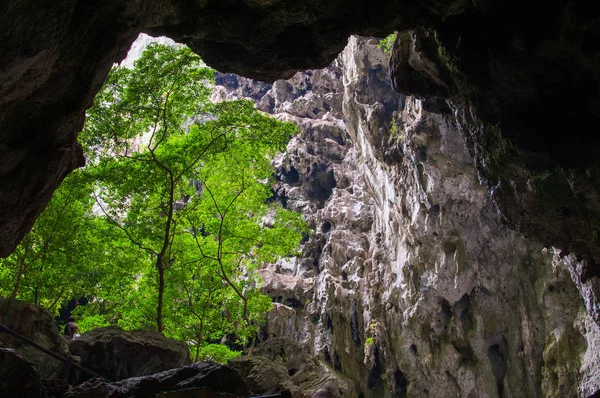 Végétation et nature dans la grotte de Phraya Nakhon. Thaïlande — Photo