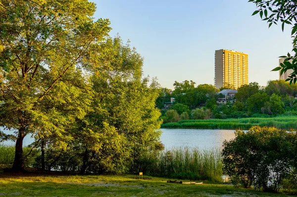 Zomer landschap aan de oever van de rivier van de green bij zonsopgang, Rusland, Rostov regio, Don — Stockfoto