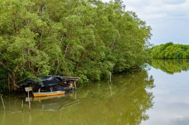Kırsal nehir manzara yaz nehir parlak gökyüzü ve bulut
