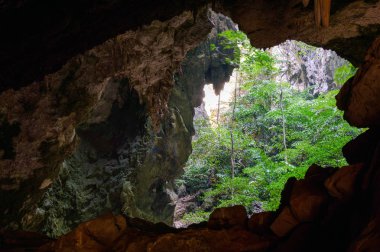 Bitki örtüsü ve doğa Phraya Nakhon mağarada. Tayland