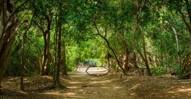 Leamsala Way Phraya Nakorn mağara, Tayland için trail. Milli Parkı Khao Sam ROI Yot
