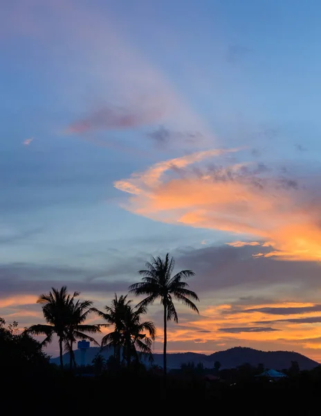 Kokospalmer siluett på dramatiska moln sky sunset bakgrund. — Stockfoto