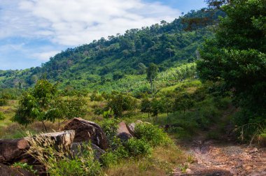 Güzel doğal manzaraya Khlong Yai, Tayland.