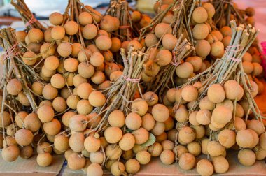 Longan, Dimocarpus longan, Asya meyve, lychee aynı aile
