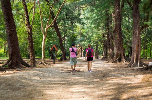 Turistler Leamsala Way Phraya Nakorn mağara, Tayland için iz oluyor. Milli Parkı Khao Sam ROI Yot