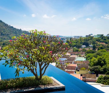 Güzel manzaralı çatı katı terasında yüzme havuzu