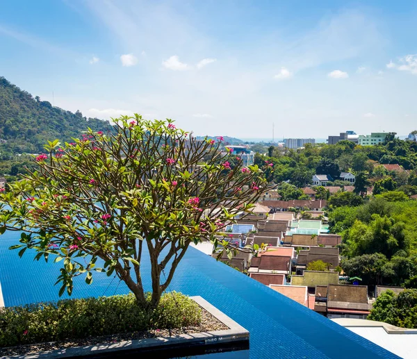 Güzel manzaralı çatı katı terasında yüzme havuzu