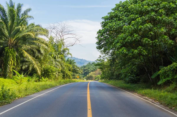 Camino rural de asfalto en Tailandia provincia — Foto de Stock