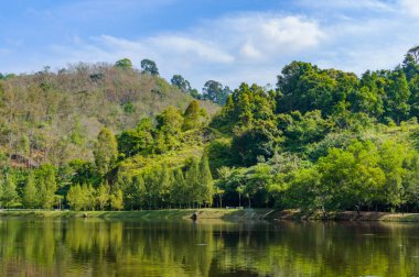 Tropikal peyzaj, göl ve hills Phuket üzerinde Kathu bölgesinde