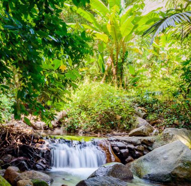Kathu şelale Tayland Phuket Adası