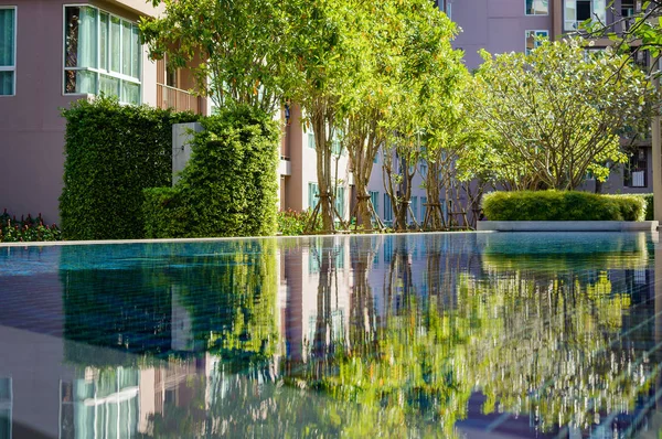 Reflexión de pequeños árboles en un agua clara de piscina — Foto de Stock