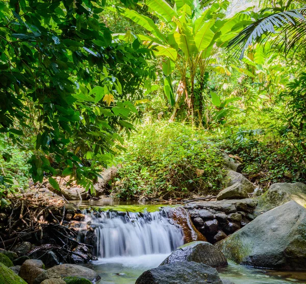 Kathu şelale Tayland Phuket Adası