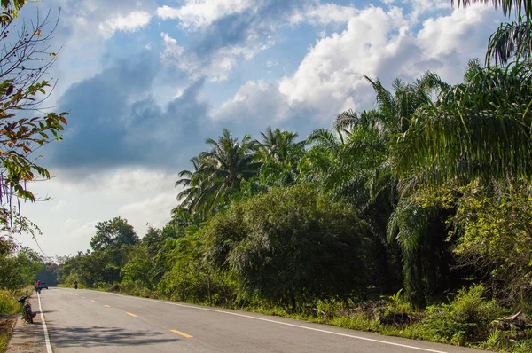 Rural asphalt road in Thailand province — Stock Photo, Image