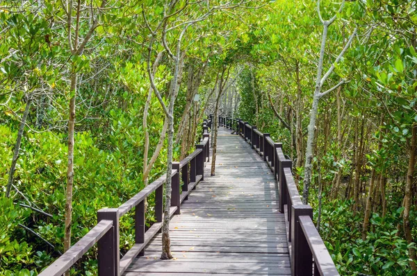 Ahşap köprü geçit mangrov orman Pranburi orman Milli Parkı, Prachuap Khiri Khan, Tayland at