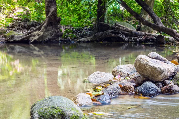 Jasne dżungli z rzeki. Naturalny krajobraz — Zdjęcie stockowe