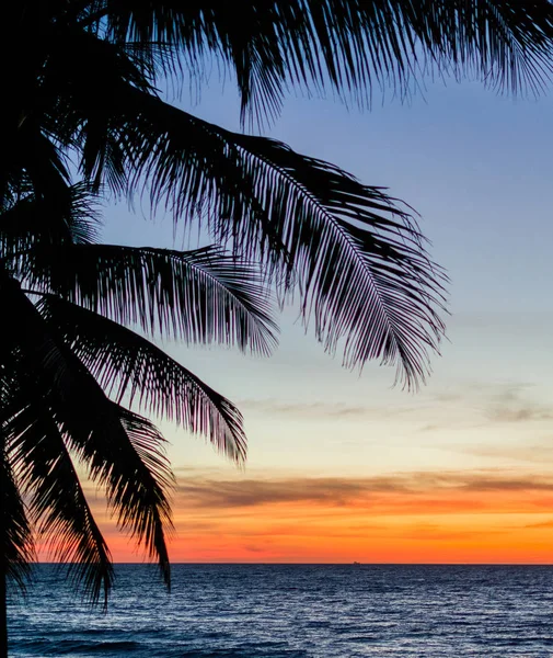 Sílhueta de palmeiras. Luz de fundo colorida do céu do por do sol em Ásia — Fotografia de Stock